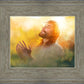 A Perfect Peace