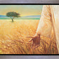 Wheat and Tares