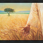Wheat and Tares