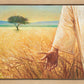 Wheat and Tares