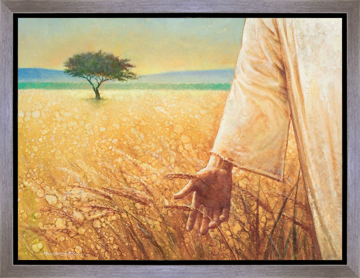 Wheat and Tares Gallery Wrap
