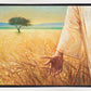 Wheat and Tares