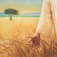 Wheat and Tares
