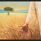 Wheat and Tares