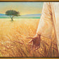 Wheat and Tares