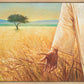 Wheat and Tares
