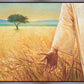 Wheat and Tares