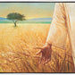 Wheat and Tares