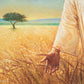 Wheat and Tares