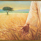 Wheat and Tares
