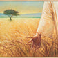 Wheat and Tares