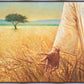 Wheat and Tares