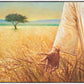 Wheat and Tares