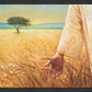 Wheat and Tares