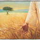 Wheat and Tares