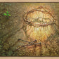 Resurrection