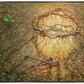 Resurrection
