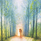 The Shepherd's Path