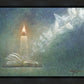 The Light of All Mankind