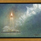 The Light of All Mankind