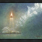 The Light of All Mankind