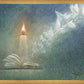 The Light of All Mankind