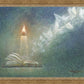 The Light of All Mankind