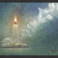 The Light of All Mankind