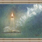 The Light of All Mankind