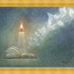 The Light of All Mankind