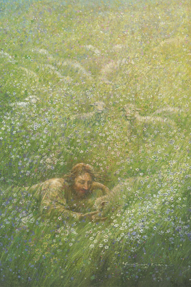 We Are All Wildflowers