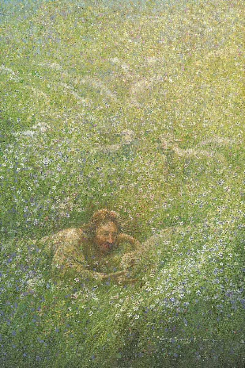 We Are All Wildflowers