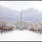 Mt Timpanogos Morning Snow