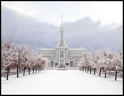 Mt Timpanogos Morning Snow