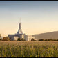 Mt Timp Harvest
