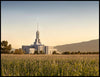 Mt Timp Harvest