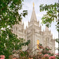Salt Lake Mid-Summer Garden