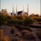 Las Vegas Desert Garden