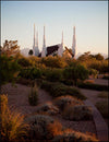 Las Vegas Desert Garden