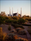 Las Vegas Desert Garden