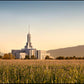 Mount Timpanogos Harvest