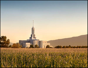 Mount Timpanogos Harvest