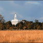 Nauvoo Fields