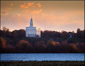 Nauvoo Miracle Of The Quail