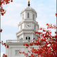 Nauvoo Red Leaves Over Spire