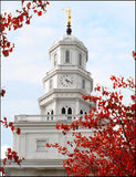 Nauvoo Red Leaves Over Spire