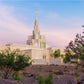 Phoenix Desert Blossom