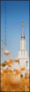 Sacramento Spire