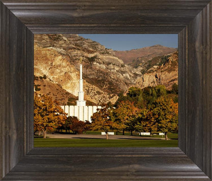 Provo Fall Rock Canyon