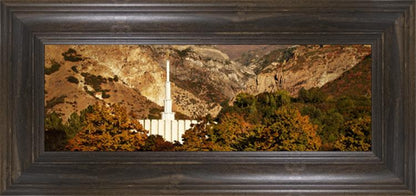 Provo Fall Rock Canyon